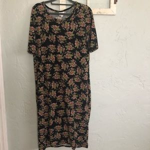🏷 LuLaRoe Julia dress